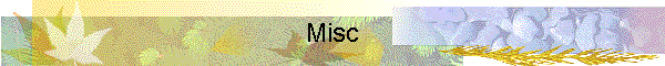 Misc