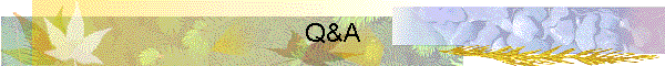 Q&A